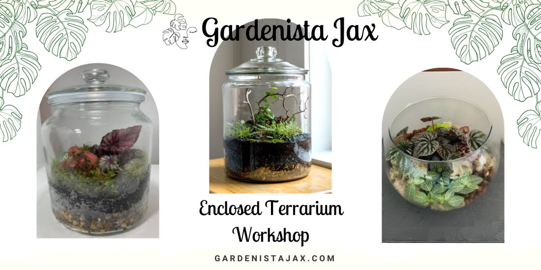 DIY Cactus Terrariums: A Hands-On Workshop for All Ages