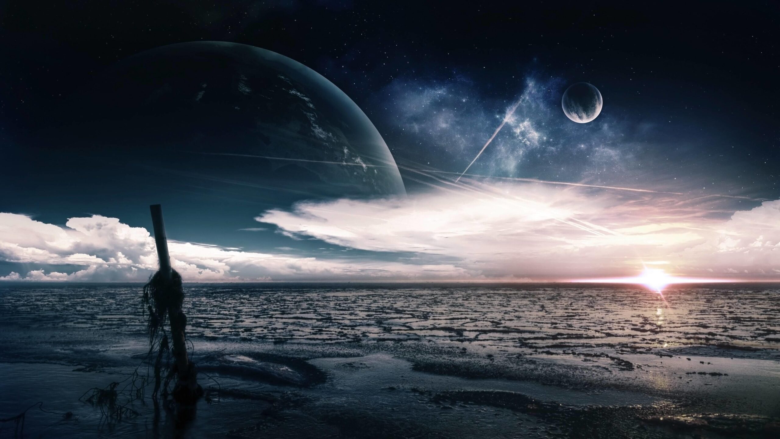 Cactus in Sci-Fi: From Alien Worlds to Post-Apocalyptic Landscapes